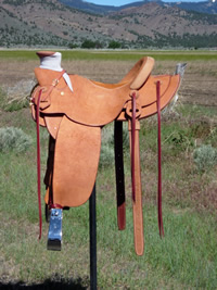 Rough Out Saddles: Image 1