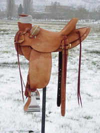 Rough Out Saddles: Image 2