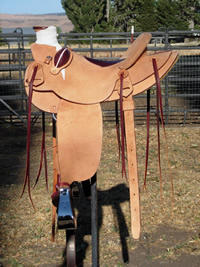 Rough Out Saddles: Image 4