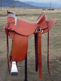 Stamped Saddles : Image 1