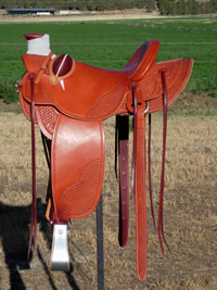 Stamped Saddles : Image 2