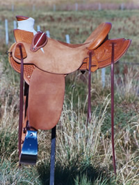 Stamped Saddles : Image 6